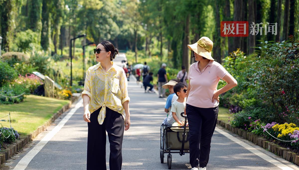 大同dq官网